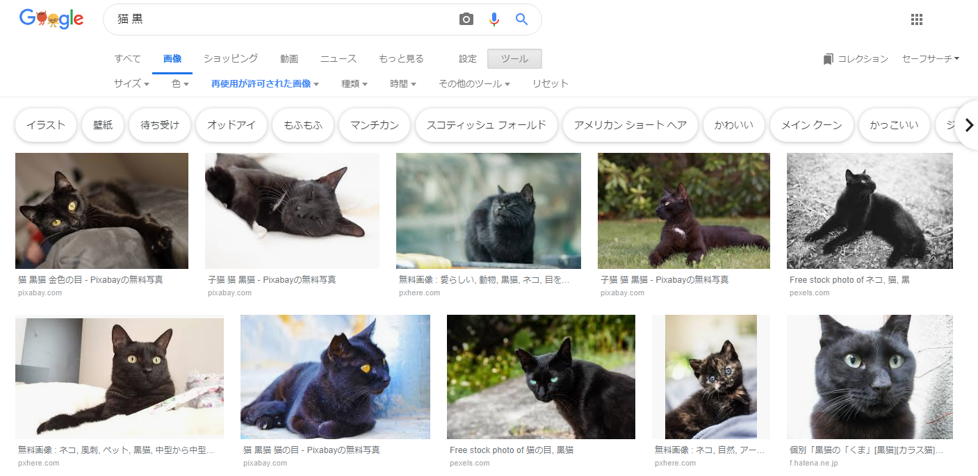 Pythonでgoogleとbingから画像を取得するwebスクレイピングツールを作った そんなこと猫でもできる